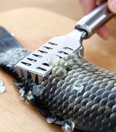 Stainless Steel Fish Scale Remover Tool with Ergonomic Handle - obeepo.in