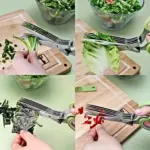 Stainless steel 5-blade herb scissors with cleaning comb - obeepo.in
